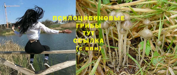 сатива Богородицк