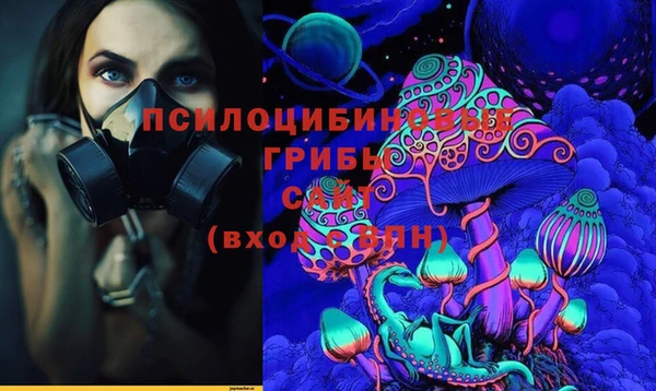 героин Богданович