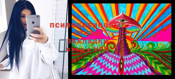 героин Богданович