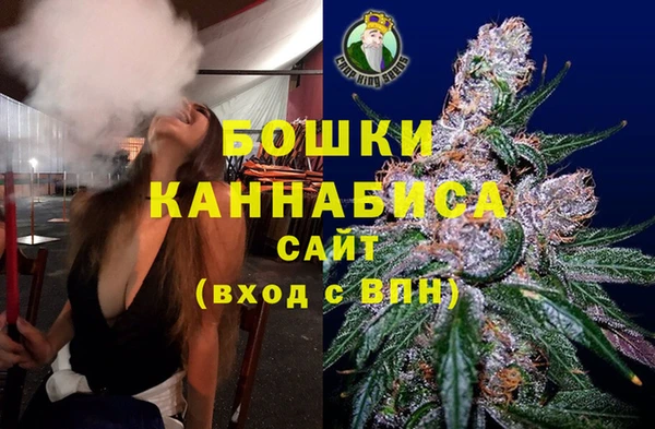 сатива Богородицк