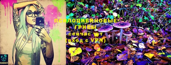 mix Богородск