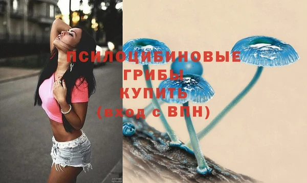 mix Богородск