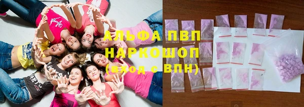 сатива Богородицк