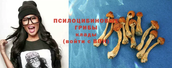 героин Богданович